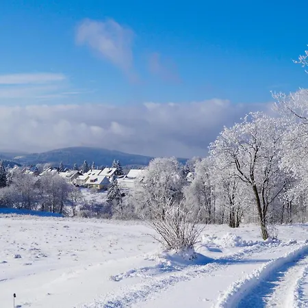 Dom wakacyjny Ferienhauspark Hasselfelde